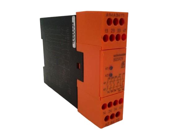 SAFEMASTER BG5929.48/100-AC/DC24V-50/60Z