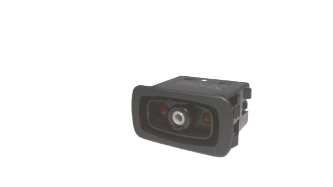 CARLING SWITCH L28D1CNN1-00000-000
