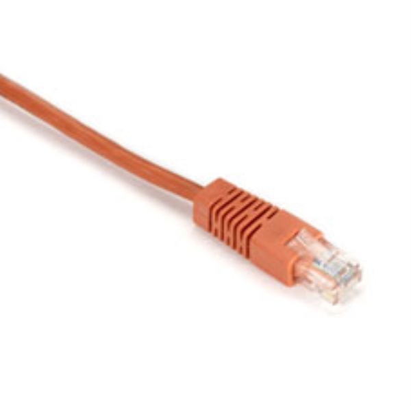 BLACK BOX CORP EVNSL29E-0020