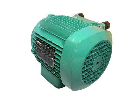NIDEC CORP 4P LS71MP/T0.25KW-IM1001 (IM B3)-117VAC-60HZ-IP55