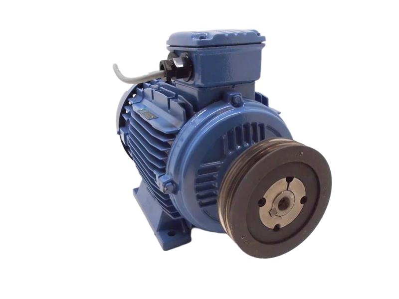 WEG AL100L-4
