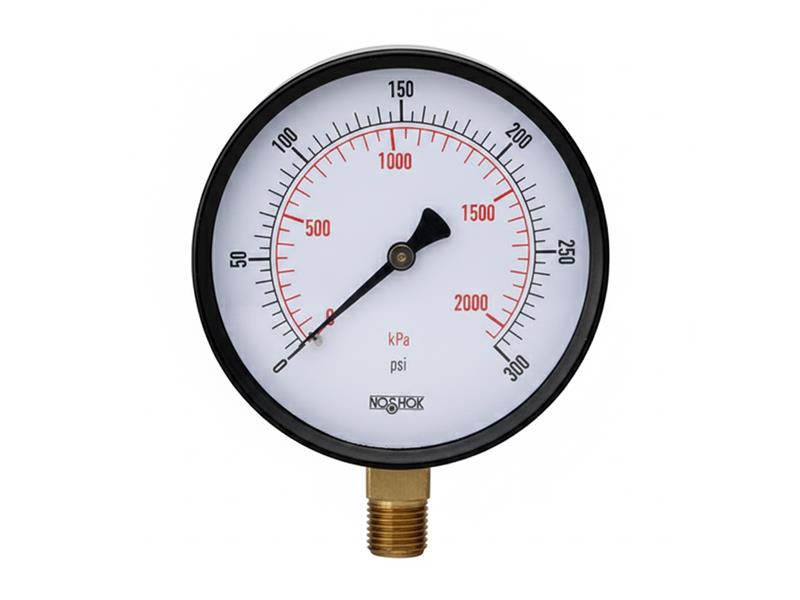 NOSHOK 25-110-100-PSI/KPA-SSB-PMC-BP3