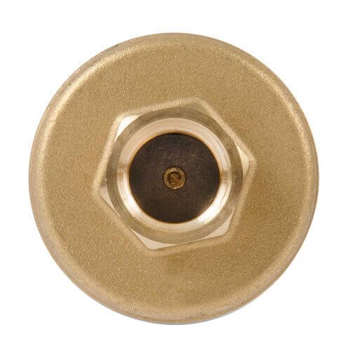 XYLEM 113246