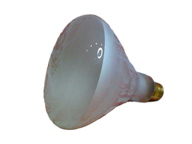 120BR40/FL by SLI LIGHTING