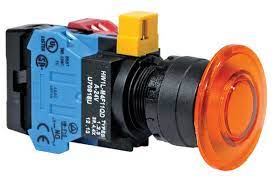 HW1L-M4F10QD-G-24V by IDEC