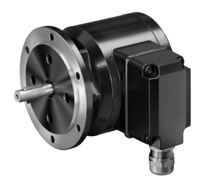 BAUMER ELECTRIC POG10 DN 1024 TTL