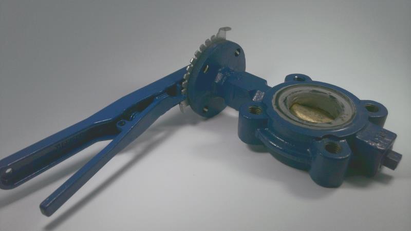 EMERSON 22L0080-10A1SGN1AEK-H100000