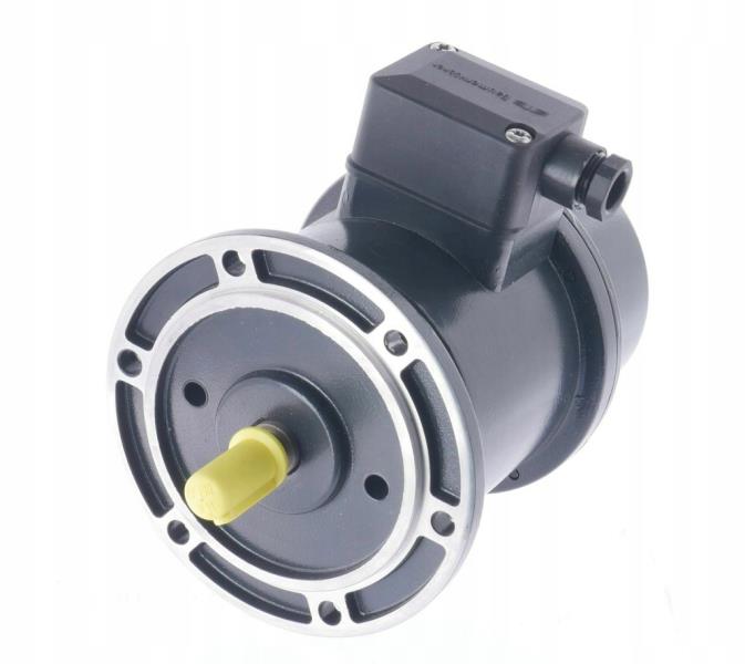 BAUMER ELECTRIC TDP0,2 LT-4 B10 55