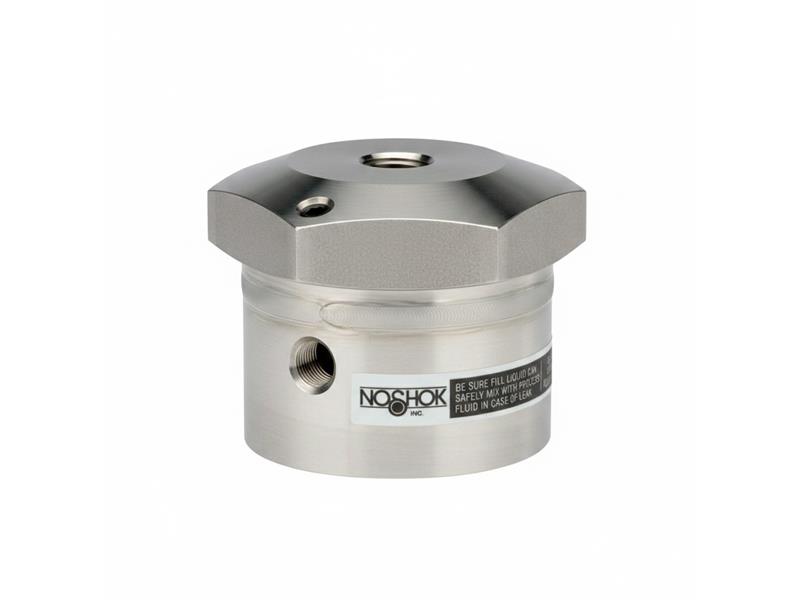 NOSHOK 10-02S-H-B-08S-2F