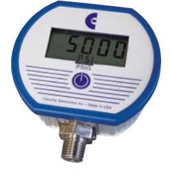DPG1000BBL100PSIG-10-HA by ABSOLUTE PROCESS INSTRUMENTS