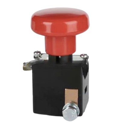 ZHEJIANG SAYOON ELECTRIC CO.,LTD. ED125B-1