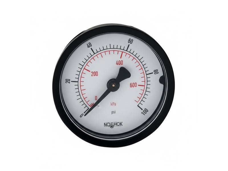 NOSHOK 20-110-100-PSI/KPA-CFF-BP3