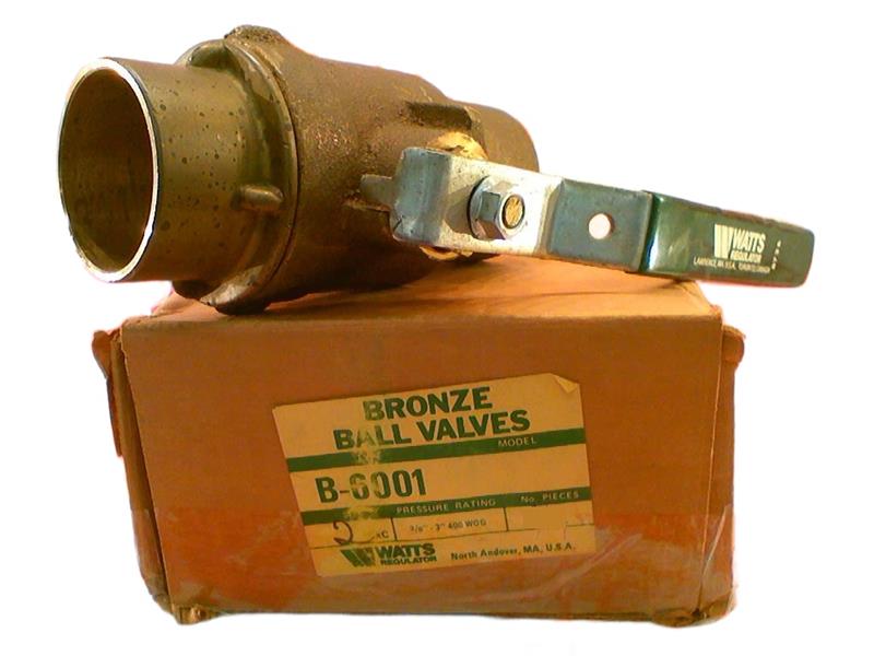B-6001-SS-2 by WATTS