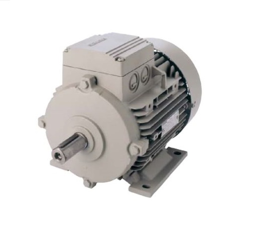 SIEMENS 1LA7163-4AA66-ZX66