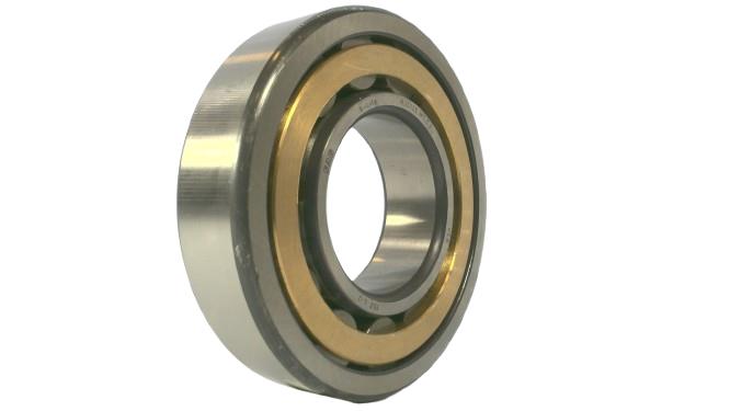 SCHAEFFLER GROUP NU313-E-M1-C3