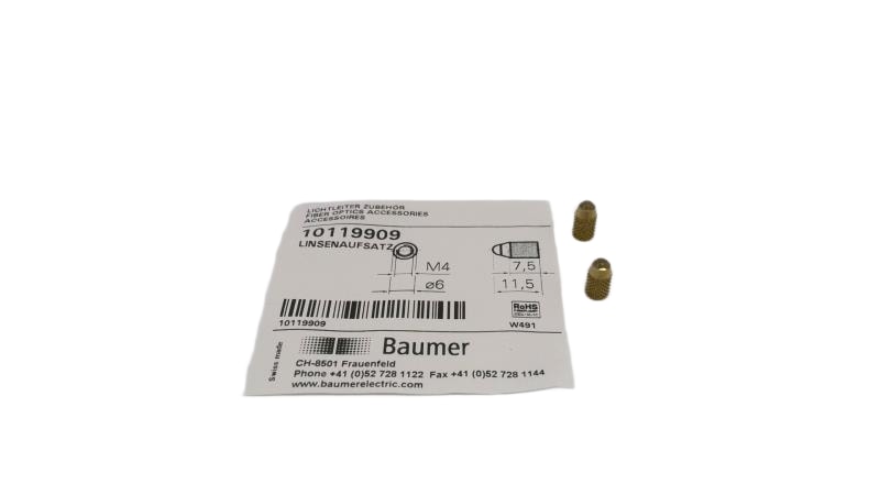 BAUMER ELECTRIC 10119909