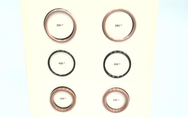 BOSCH R961002161-290/420