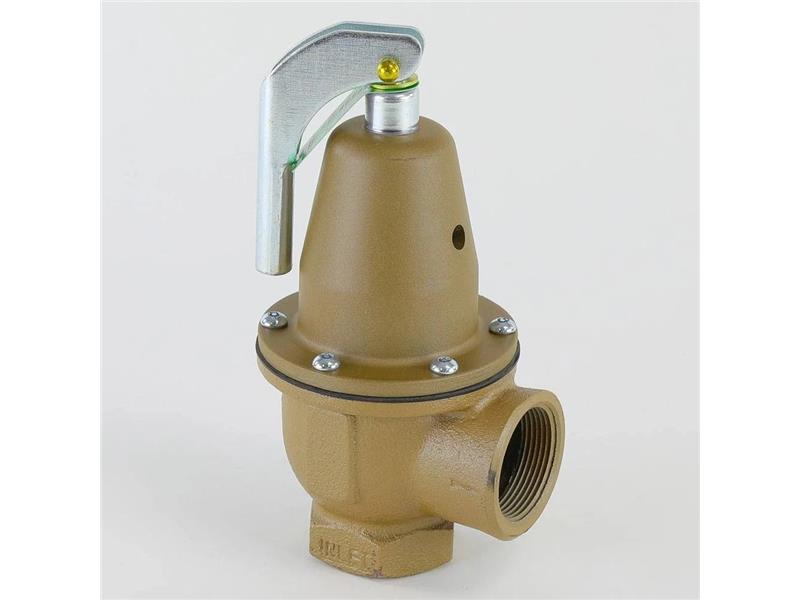 WATTS F383310