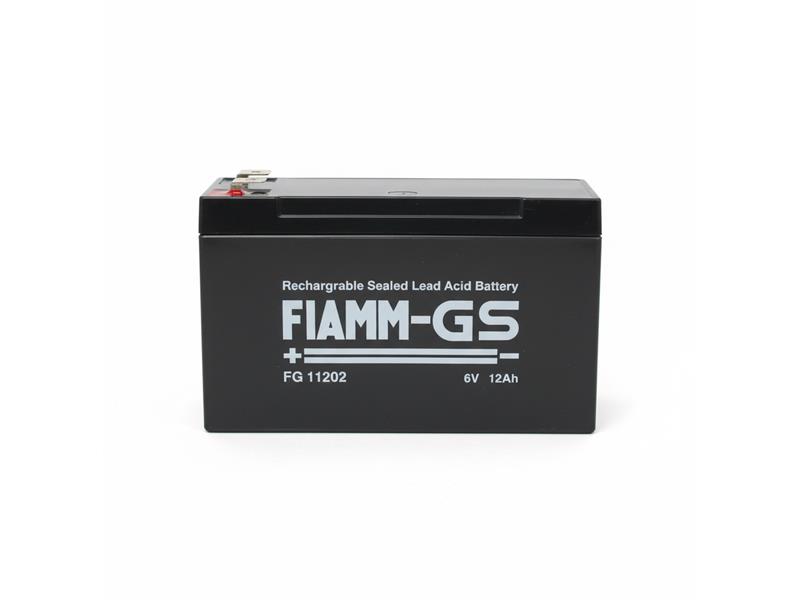 FIAMM FG-11202