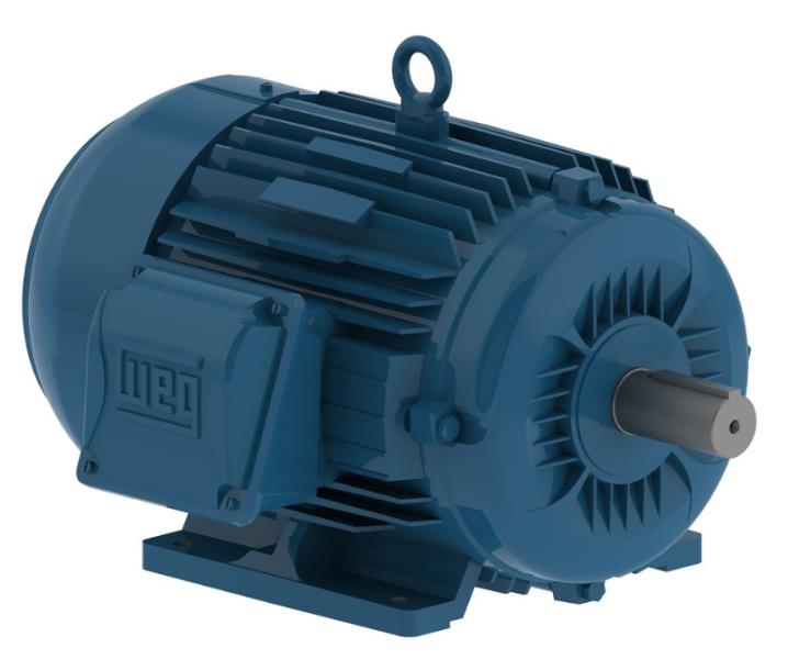 WEG 27FEV2020