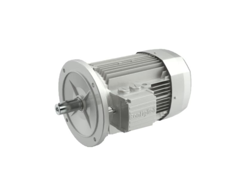 BONFIGLIOLI 000000000830720106