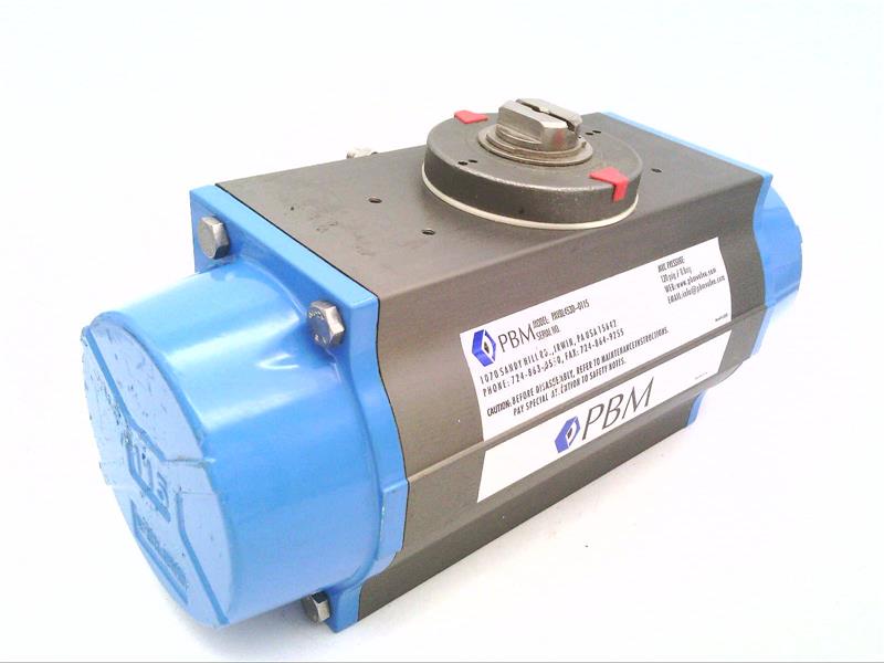 PBM INC PAVBL453D--0115