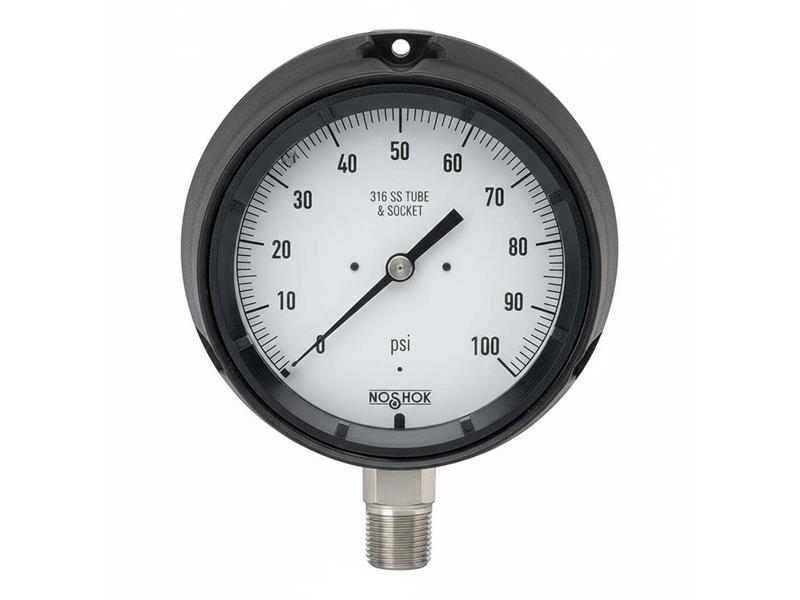 NOSHOK 10-04S-T-B-08C-2F-P