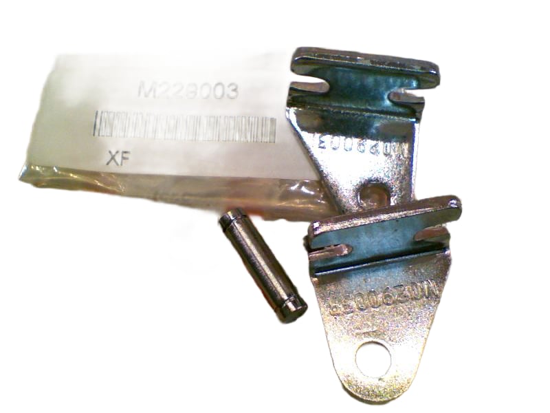 M229003 by ASCO