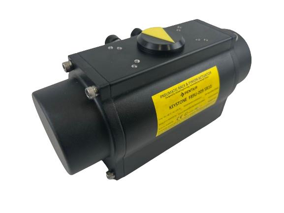 PENTAIR 89U0090310N14N2U00U34P0C