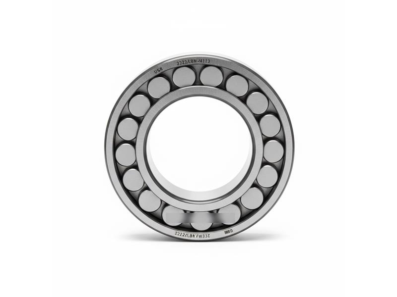 22222LBK/W33/C3 by REXNORD