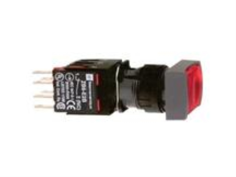 SCHNEIDER ELECTRIC XB6DF5B1B