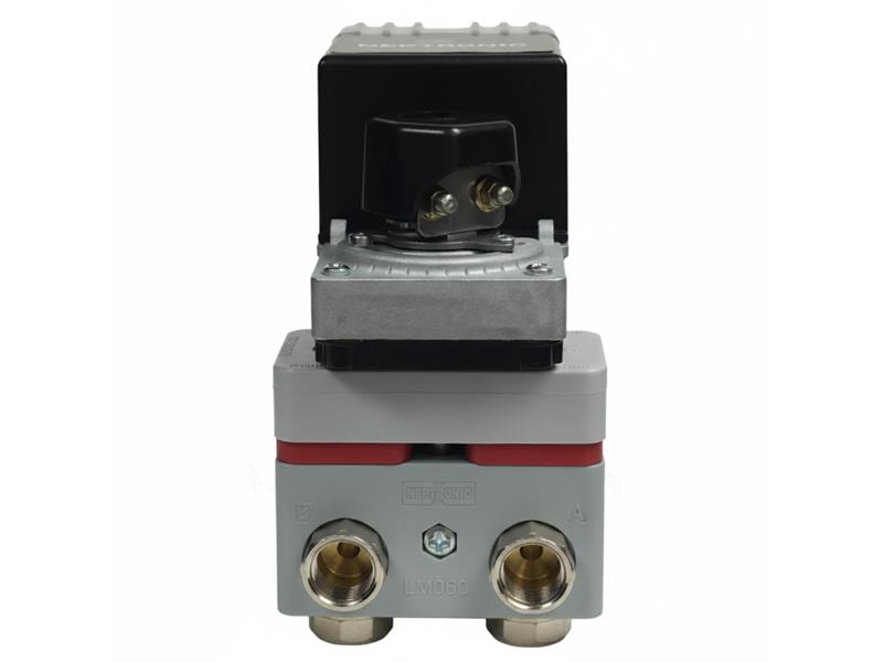 NEPTRONIC LM060