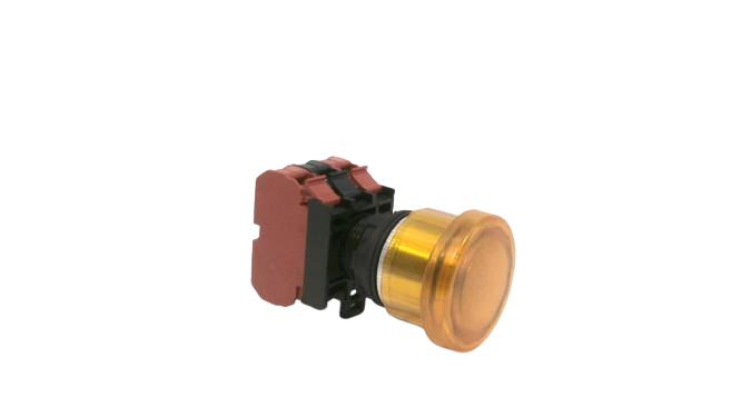 C3 CONTROLS W22IPP2-AMA-FM24LA-01/01