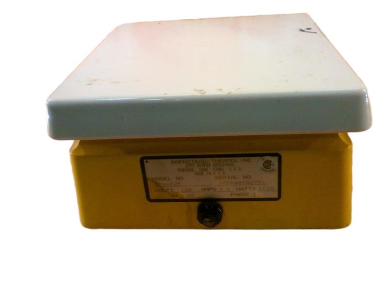 SP46925 by THERMO FISHER SCIENTIFIC