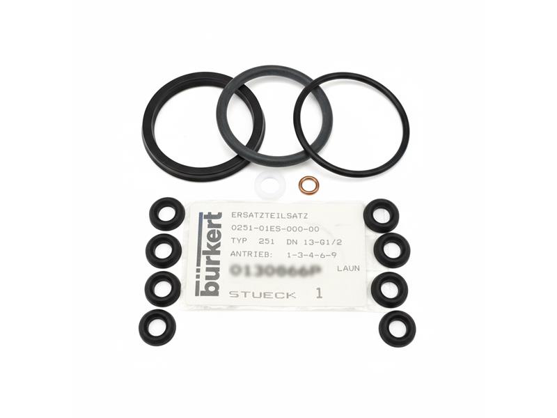 BURKERT 0251-01ES-000-00