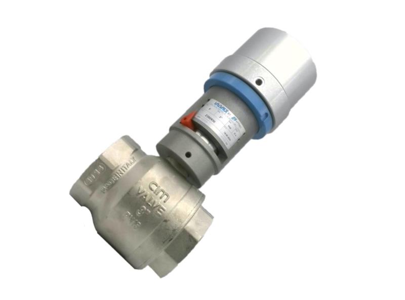 Z300906 by EFFEPI COMPANY