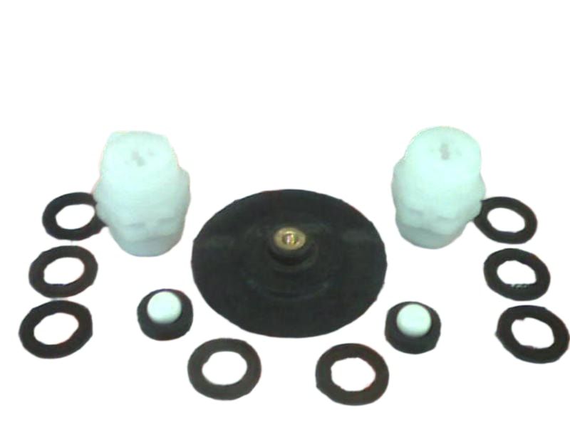 PROCESS SYSTEMS INC 1010542
