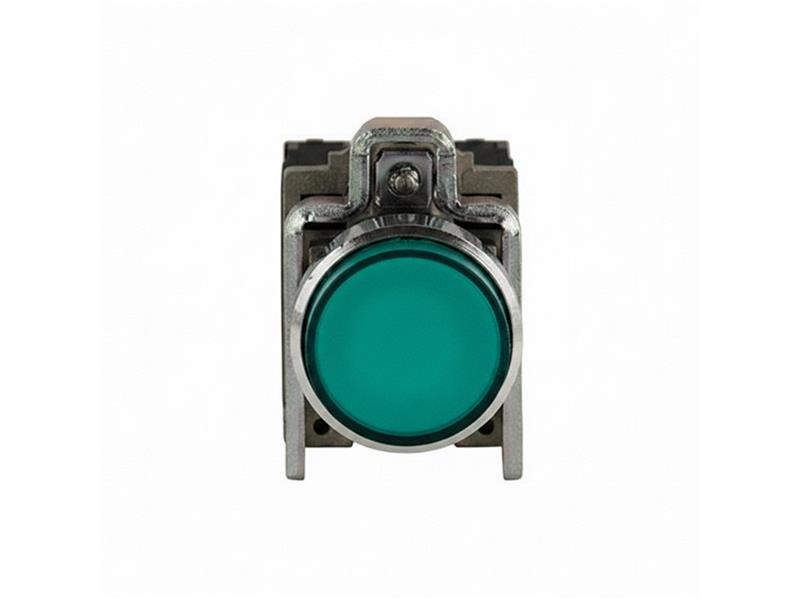 SCHNEIDER ELECTRIC XB4BW16B5