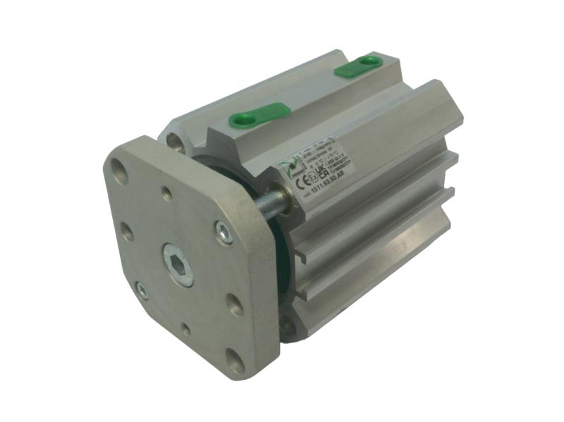 1511.63.50.AR by PNEUMAX