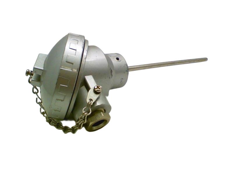 PT100/3W/A by BAUMER ELECTRIC