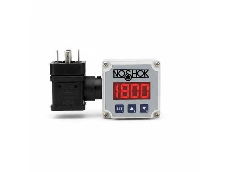 NOSHOK 254-12-290/1160-1-1-25-TC