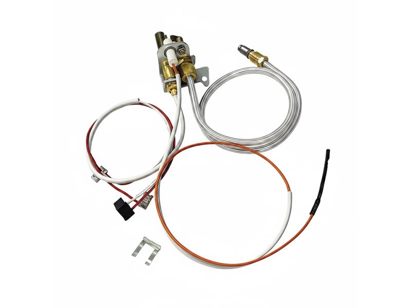 AO SMITH WATER HEATERS 100109261