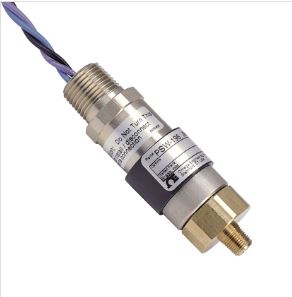 OMEGA ENGINEERING PSW-191