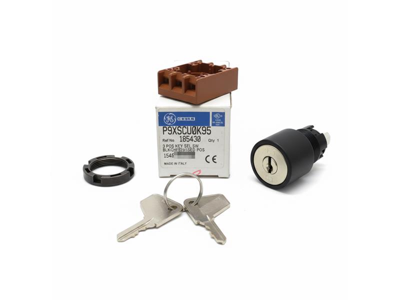 GENERAL ELECTRIC P9XSCU0K95