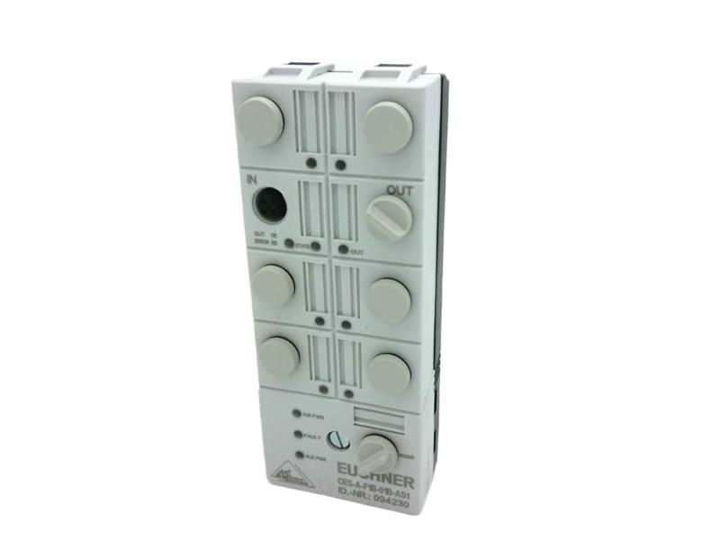 EUCHNER CES-A-F1B-01B-AS1