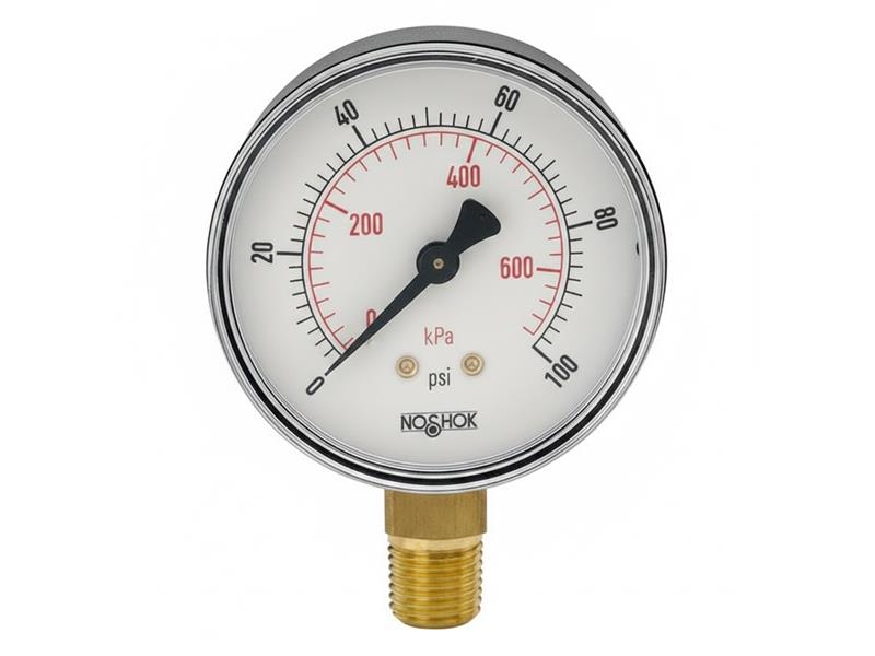 NOSHOK 25-100-200-PSI/KG/CM2-BSC-BCR