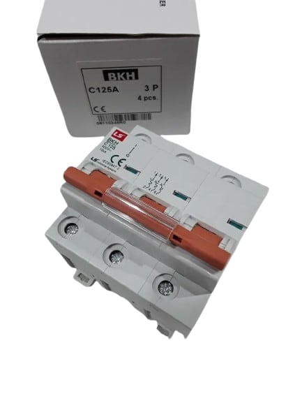 BKH3125C by LS ELECTRIC