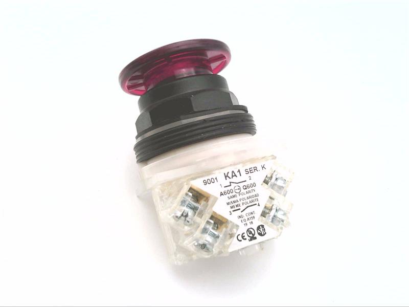 SCHNEIDER ELECTRIC 9001-SKR9R05H13