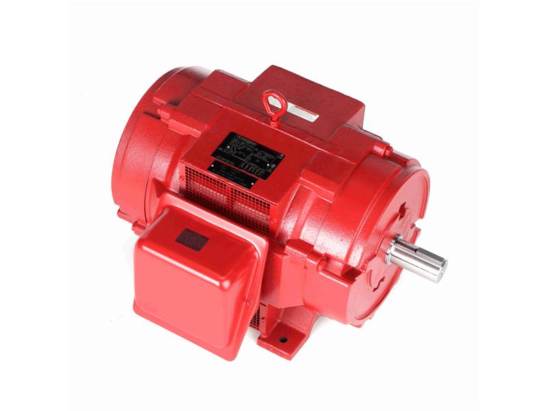 REGAL REXNORD 324TSTDP4007