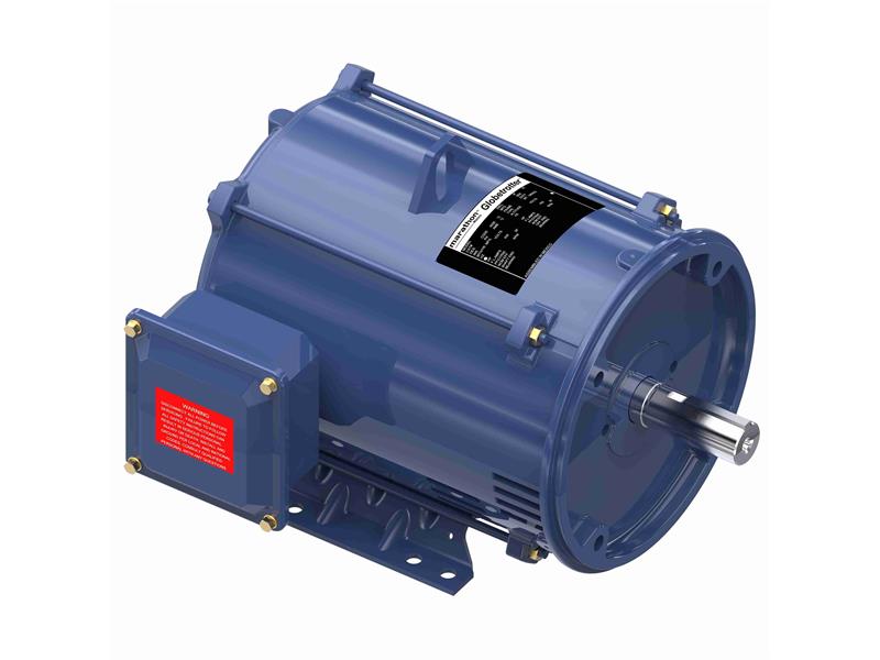 REGAL REXNORD 286TTDBD6028